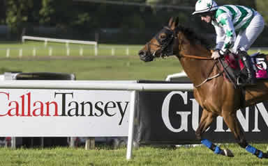 A great evening out for Callan Tansey at Sligo Races!
