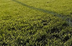Leading physio points to fresh approach for injury recovery
